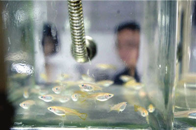 中国·1277星际电子游戏(股份有限公司)-Official website